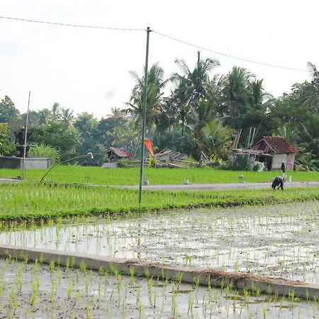 Permana Ubud Cottage Exterior foto