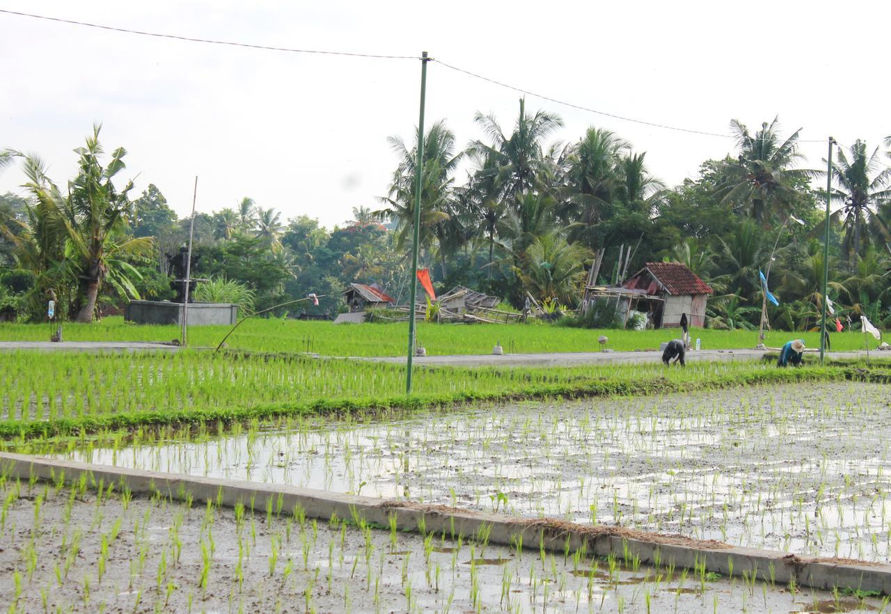 Permana Ubud Cottage Exterior foto
